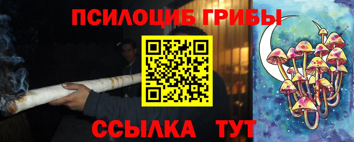 Тимашёвск  Псилоцибиновые грибы MAGIC MUSHROOMS  Вход с VPN 